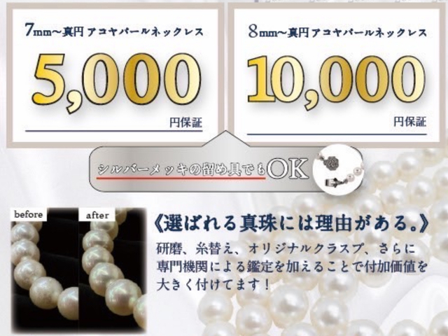 記事の写真